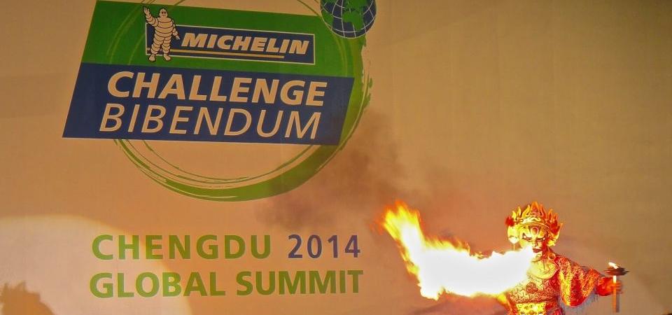 Image pour Michelin Challenge Bibendum 2014